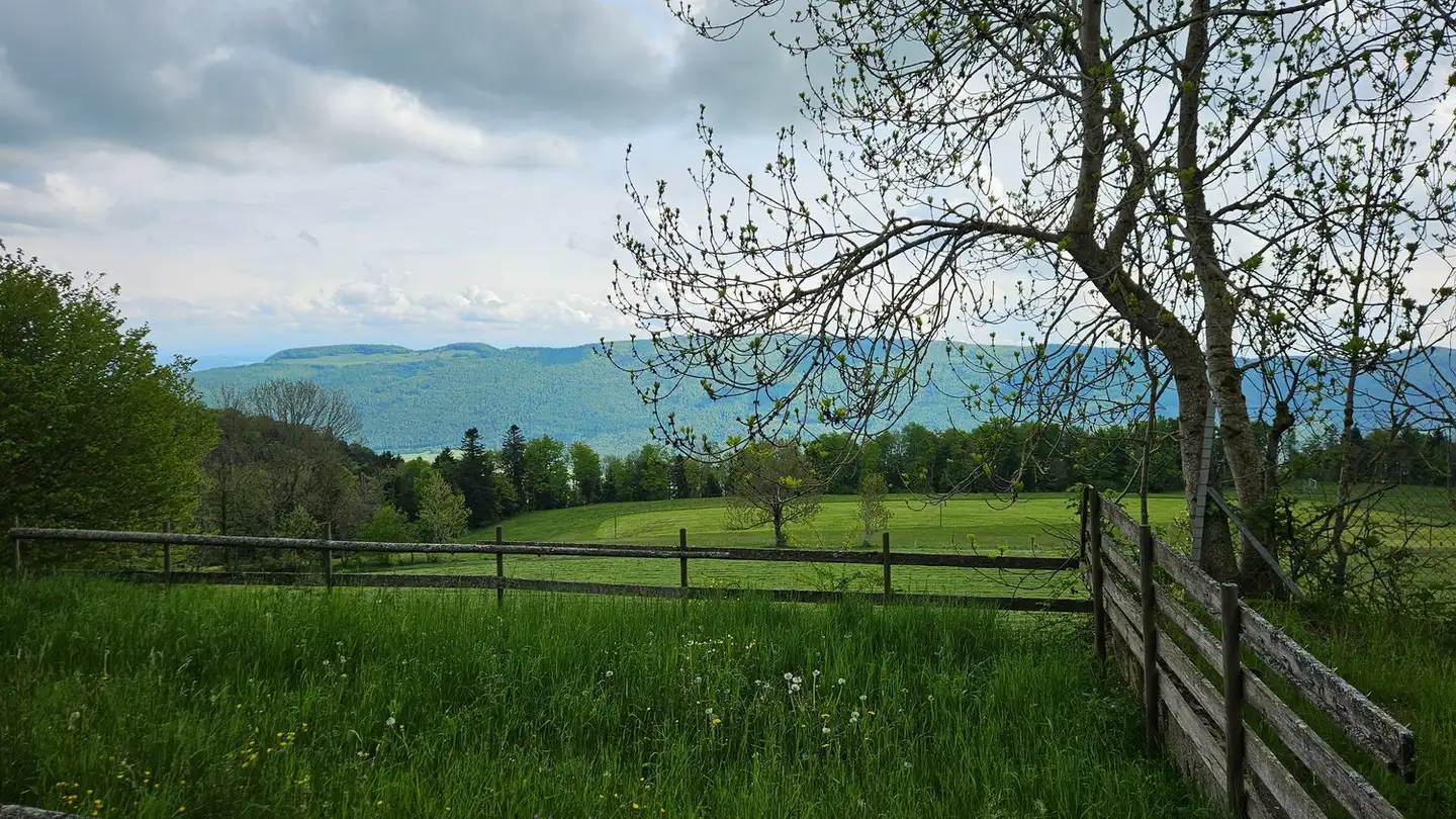 Casa singola in vendita - 4717 Mümliswil - Photo 2