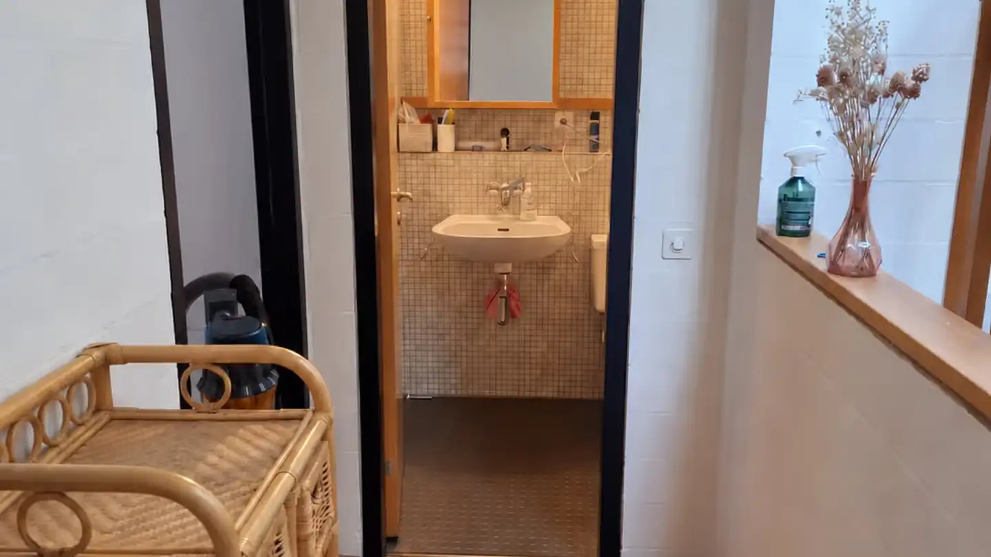 Appartement à louer - Im Altried 3g, 8051 Zürich - Photo 3