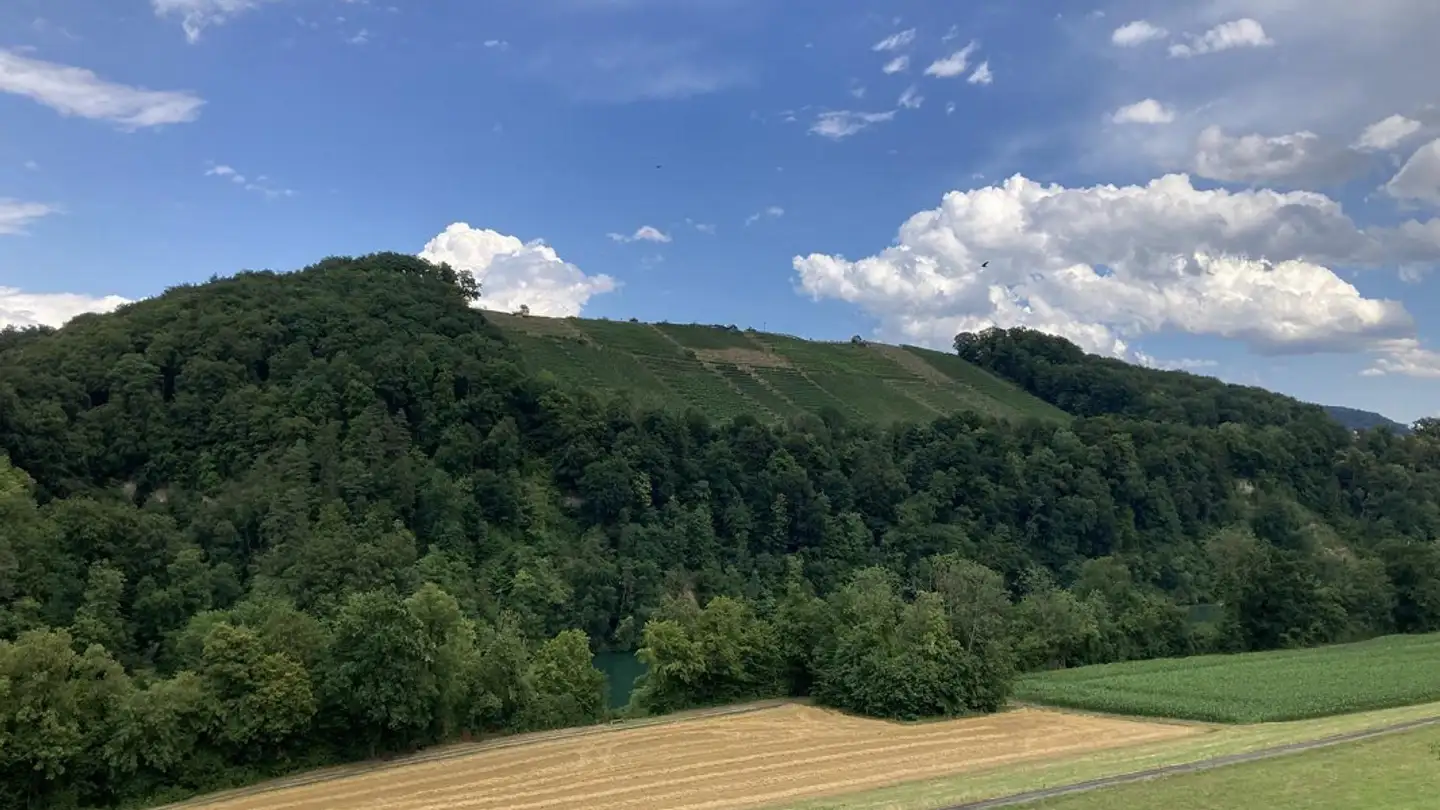 Appartamento in vendita - Tössriederenstrasse 81, 8193 Eglisau - Foto 2