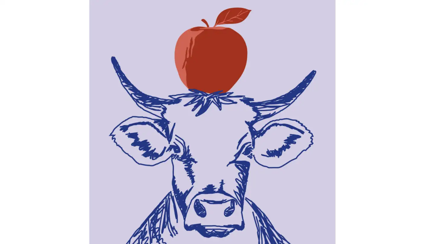 Penthouse mieten - Hauptstrasse 42, 8274 Tägerwilen