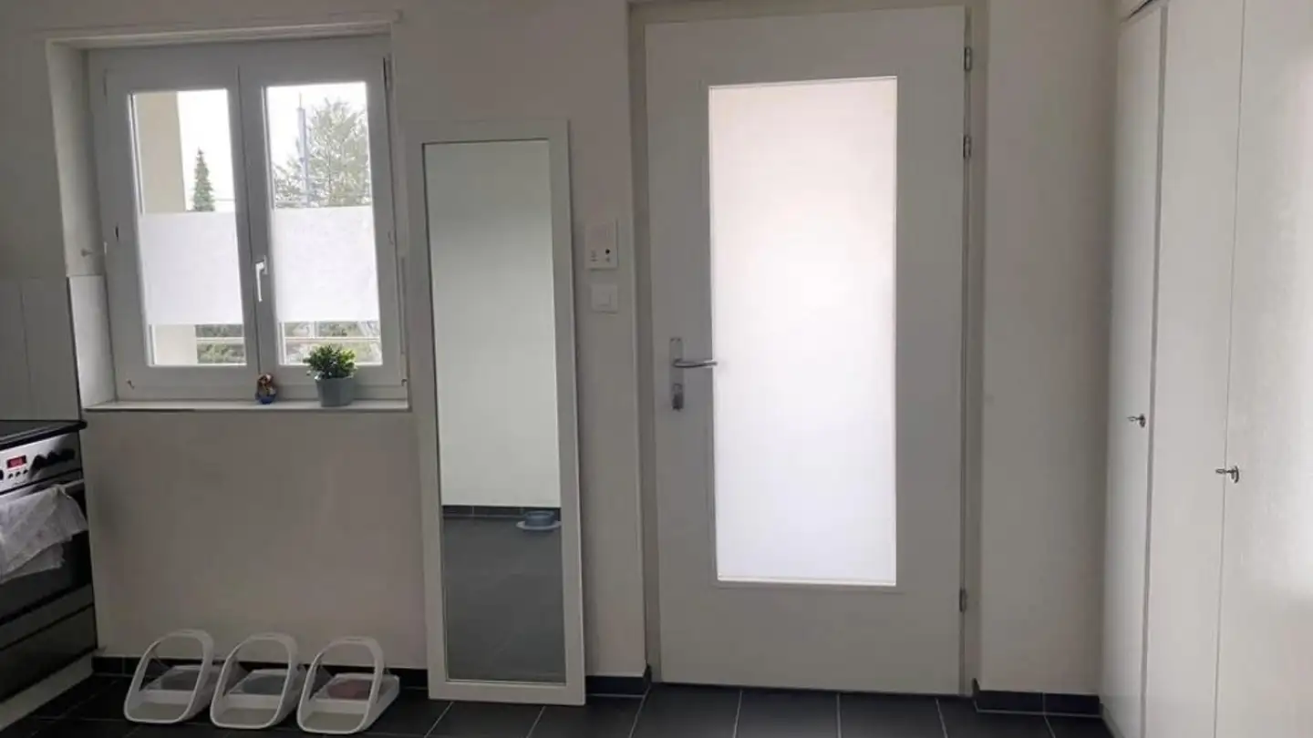 Apartment for rent - Zipfelweg 1, 8134 Adliswil - Photo 3