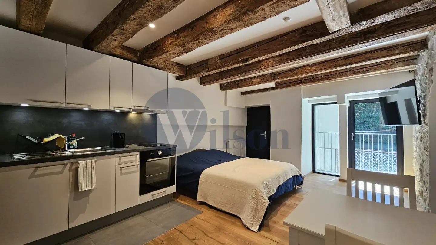 Studio for rent - 1260 Nyon