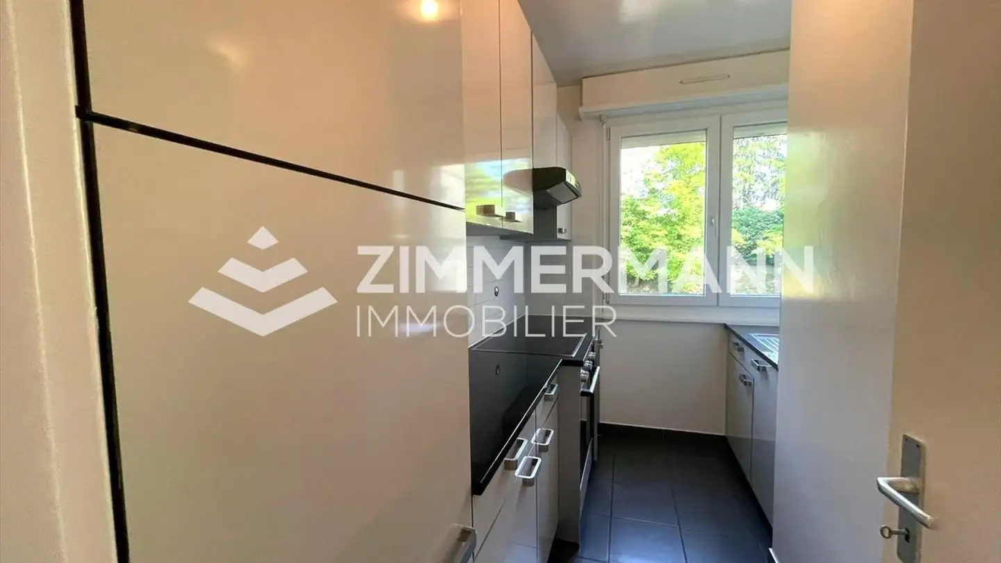 Appartamento in affitto - Chemin De Mouille-Galand, 1214 Vernier - Foto 3