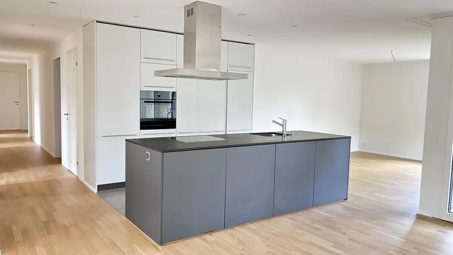 Appartamento in affitto - In Der Au 49, 8706 Meilen - Foto 2