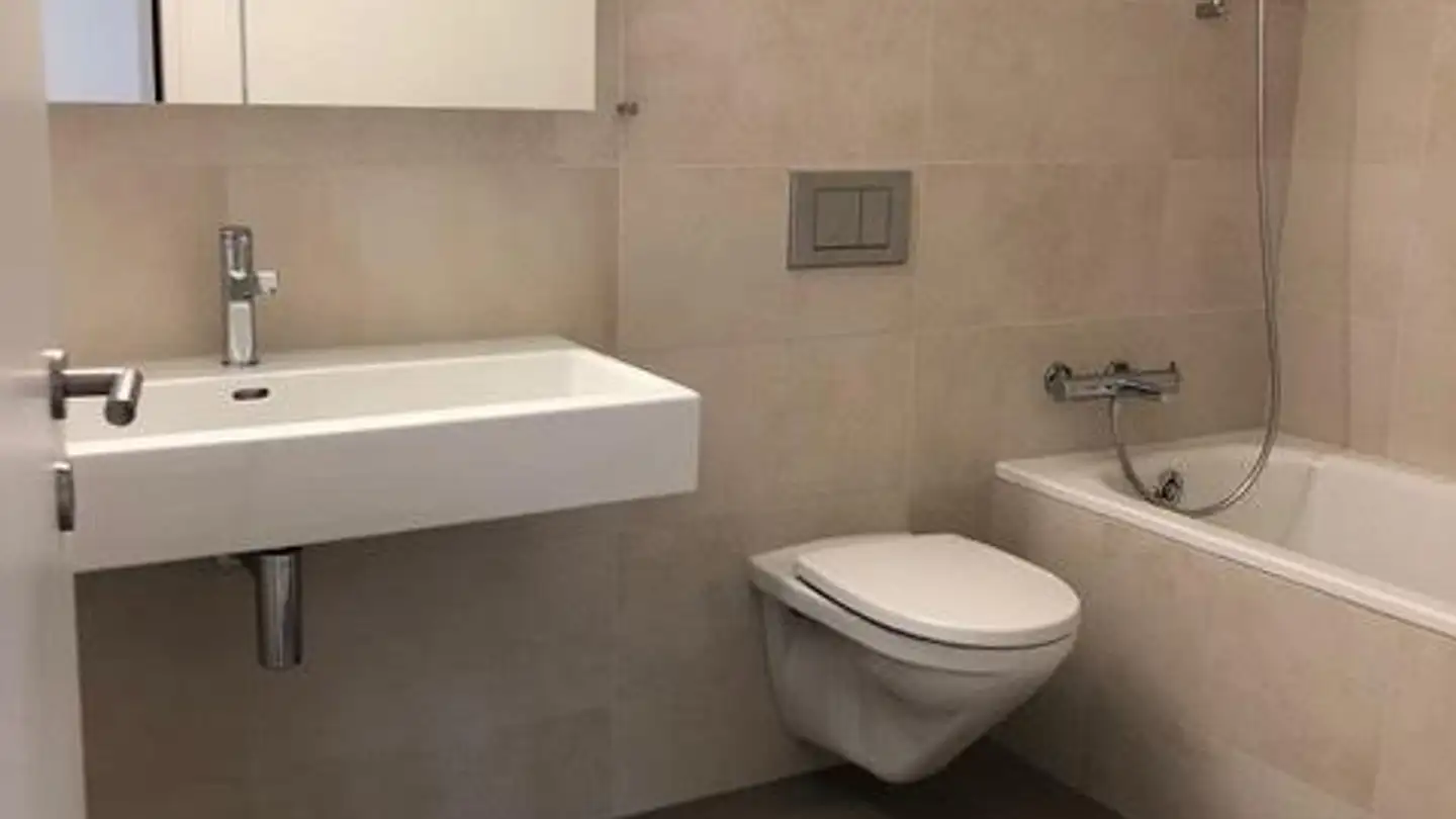 Appartamento in affitto - In Der Au 49, 8706 Meilen - Foto 3