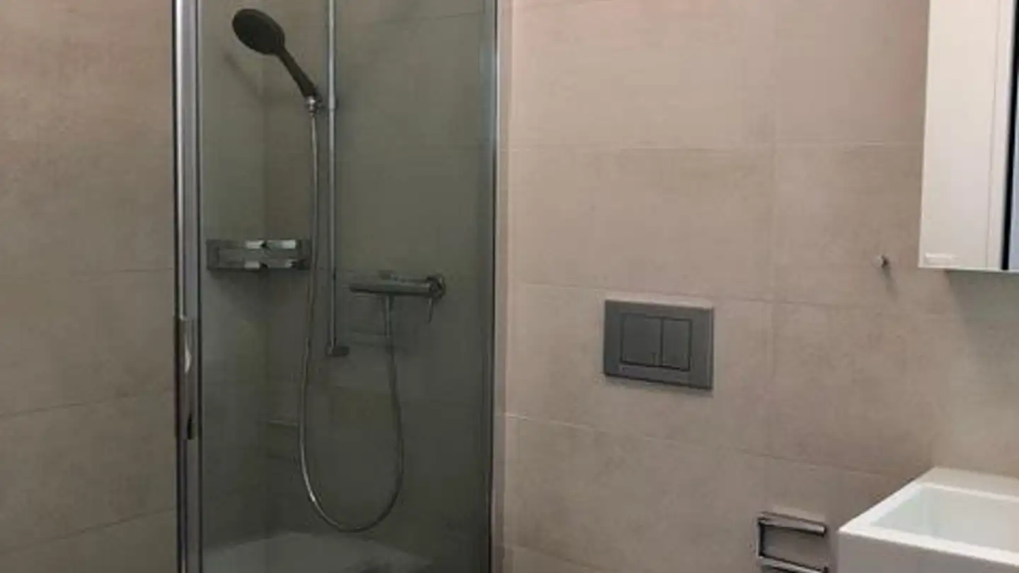 Appartamento in affitto - In Der Au 49, 8706 Meilen - Foto 4