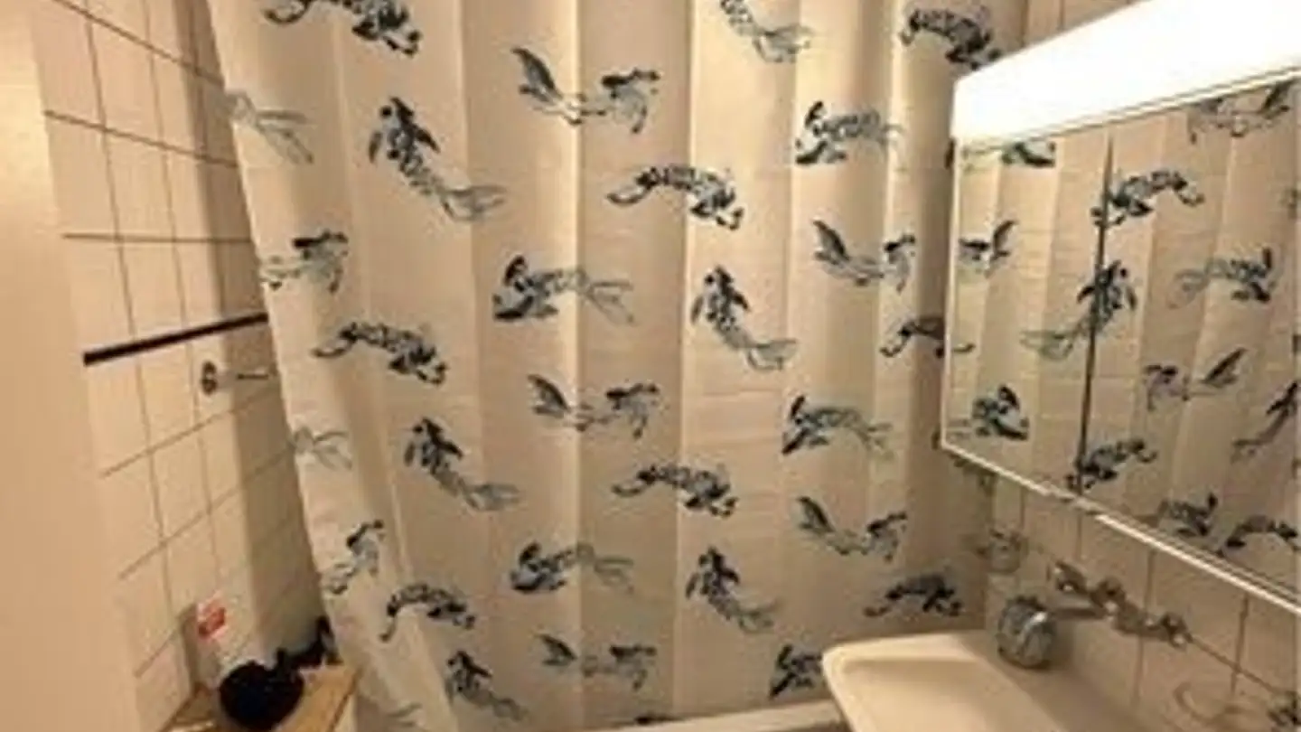 Single room for rent - 3007 Bern - Photo 3