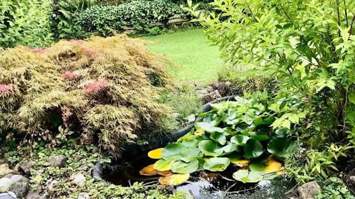 Row house for sale - Underbach, 8494 Bauma - Photo 3