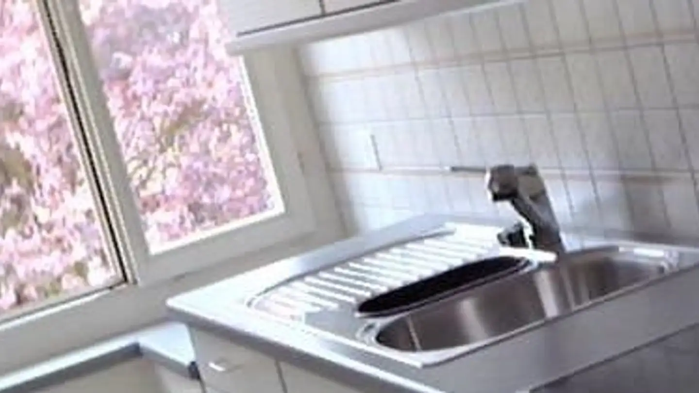 Appartamento in affitto - Gysulaweg 8, 5034 Suhr - Foto 2