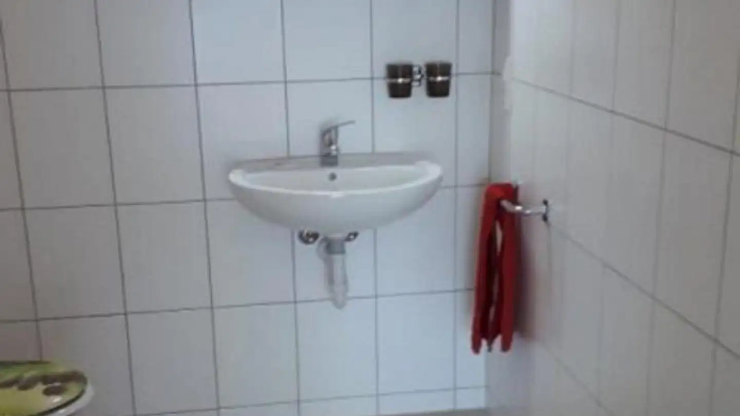 Möblierte Wohnung mieten - Ernetschwilerstrasse 21, 8737 Gommiswald - Foto 3