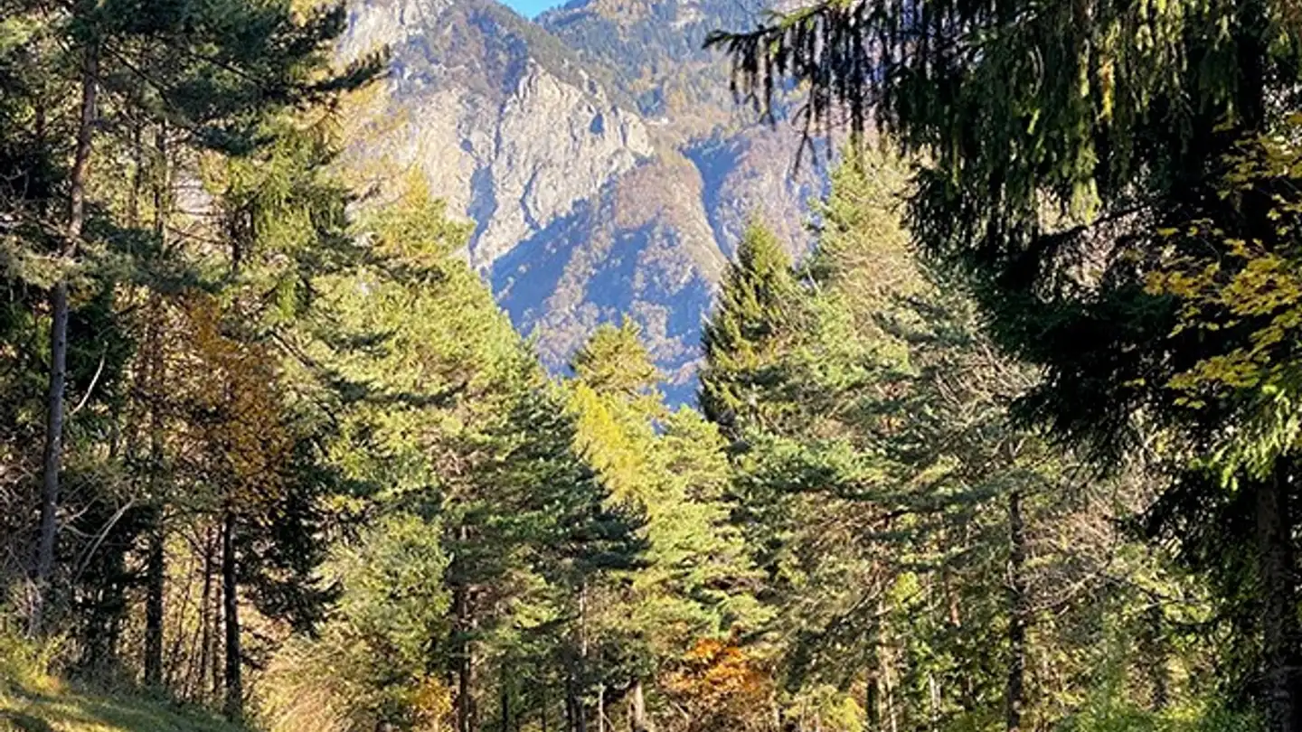 Mehrfamilienhaus kaufen - 1920 Martigny - Foto 2