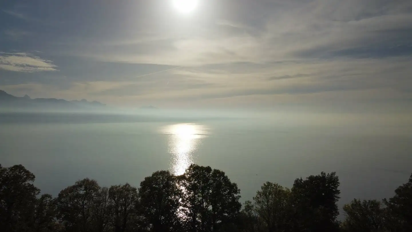 Wohnung kaufen - 1070 Puidoux