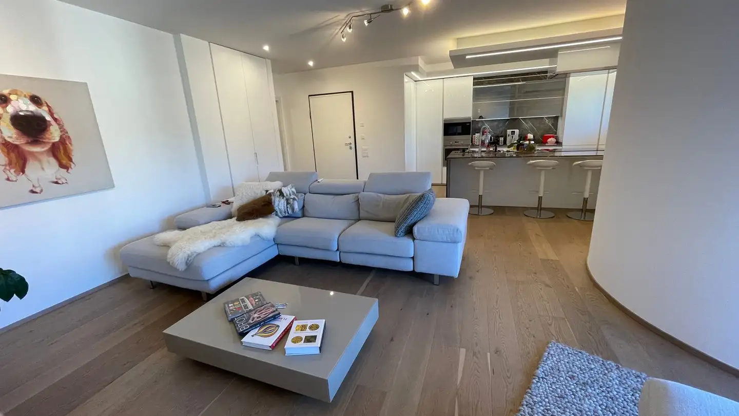 Attique à louer - Via Merlecco 9, 6963 Pregassona