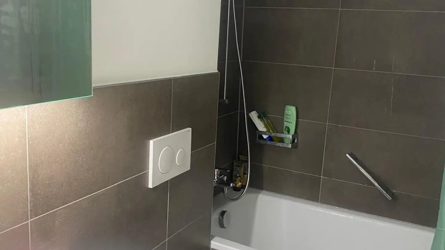 Appartamento in affitto - St. Alban-Ring 274, 4052 Basel - Foto 3