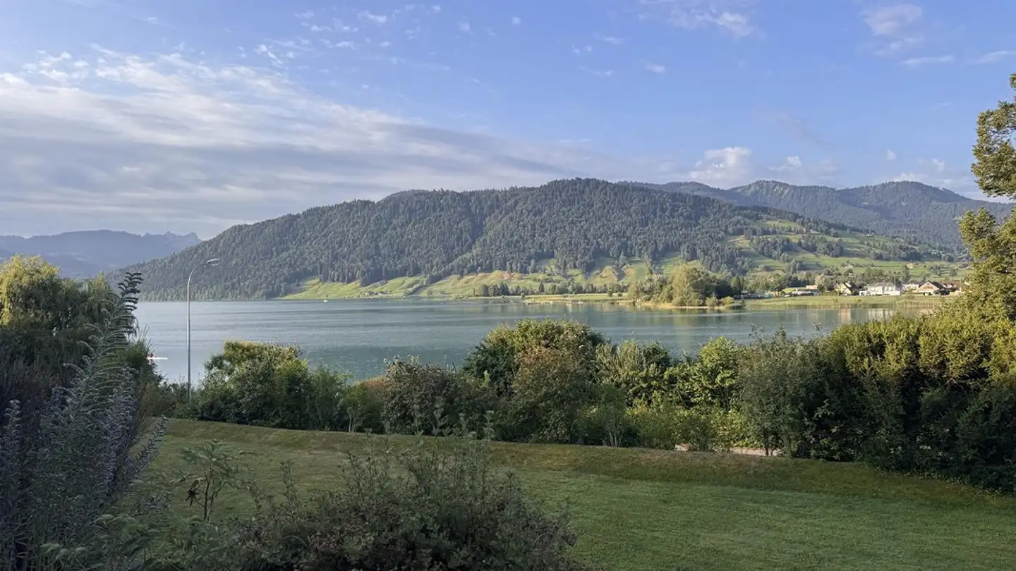Appartement à vendre - Alte Landstrasse 19, 6314 Unterägeri