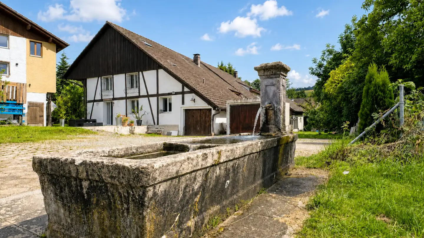 Casa singola in vendita - Dorfstrasse 4, 5725 Leutwil - Foto 2