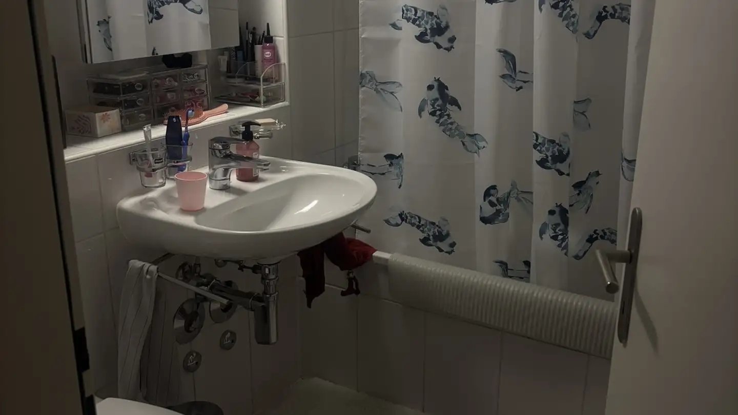 Appartamento in affitto - Burghaldenweg 4, 4435 Niederdorf