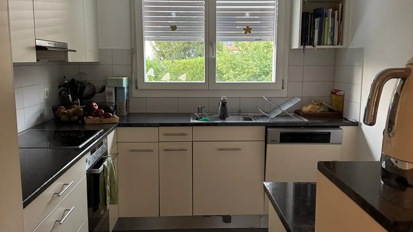 Single house for sale - Hafenrainstrasse, 4104 Oberwil BL - Photo 2