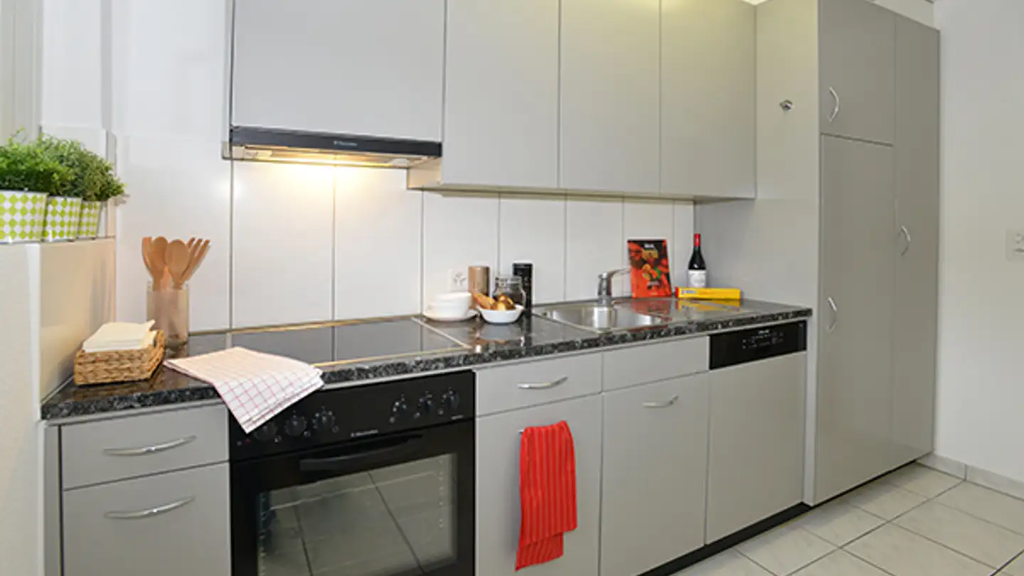 Appartamento in affitto - Vogelbuckstrasse 34, 8307 Effretikon - Photo 3