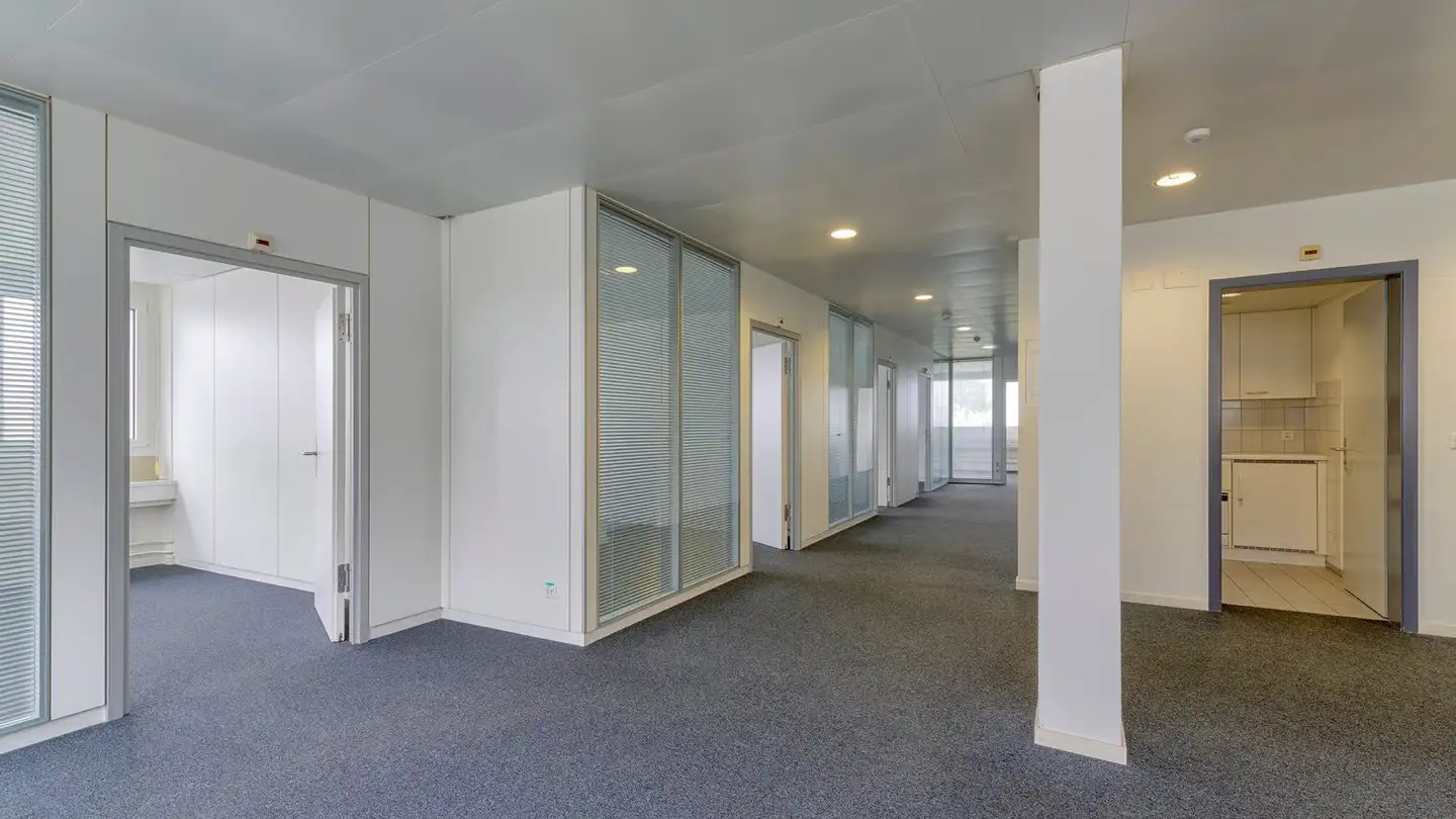 Commercial à louer - Ebikonerstrasse 75, 6043 Adligenswil - Photo 3