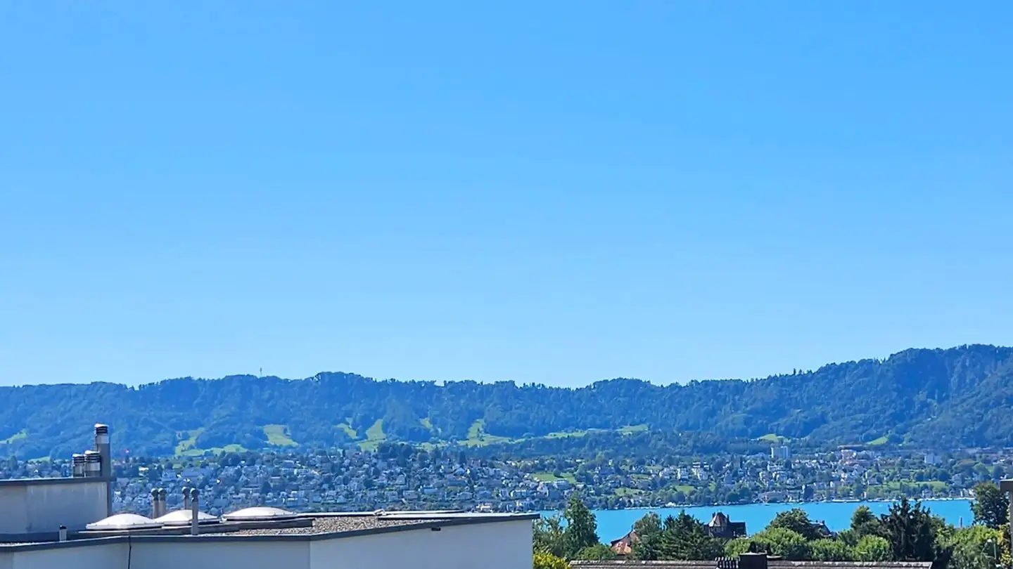 Duplex in affitto - Wybüelstrasse, 8702 Zollikon