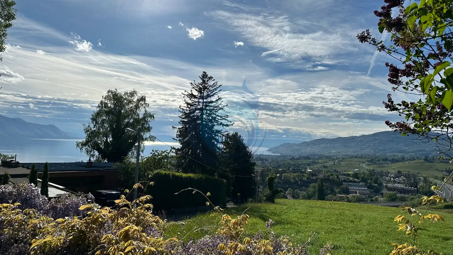 Einfamilienhaus kaufen - 1822 Chernex - Foto 2