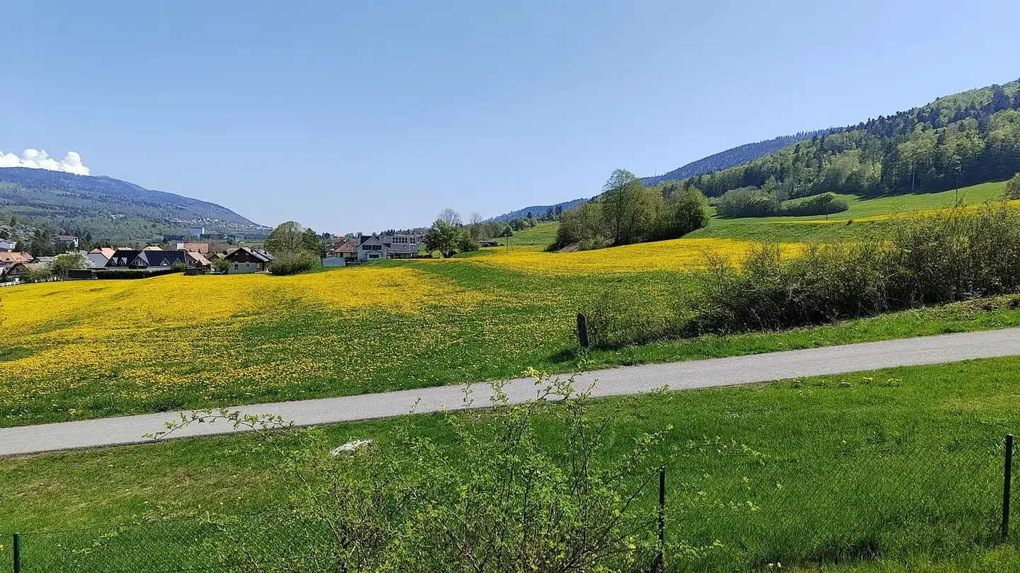 Appartement meublé à louer - Route Des Revinnoz 8, 1337 Vallorbe - Photo 2