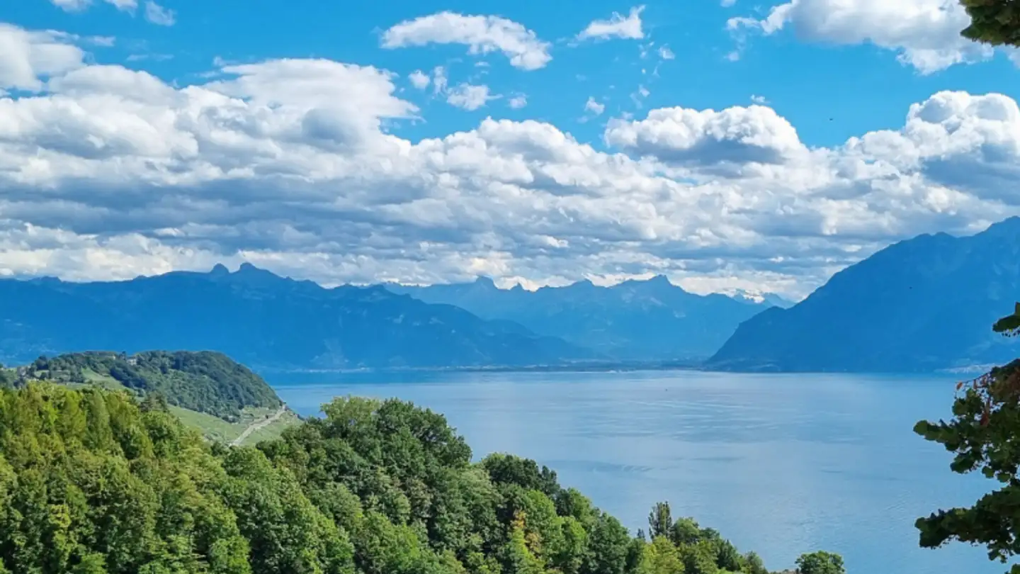 Wohnung kaufen - Chemin Du Grabe 29, 1091 Grandvaux