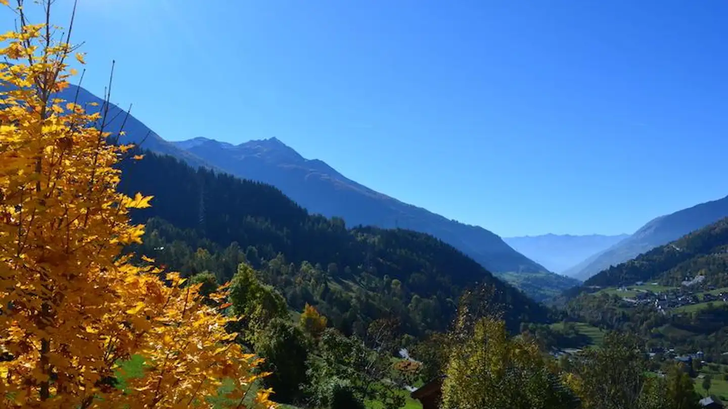 Appartement à vendre - 3995 Ernen