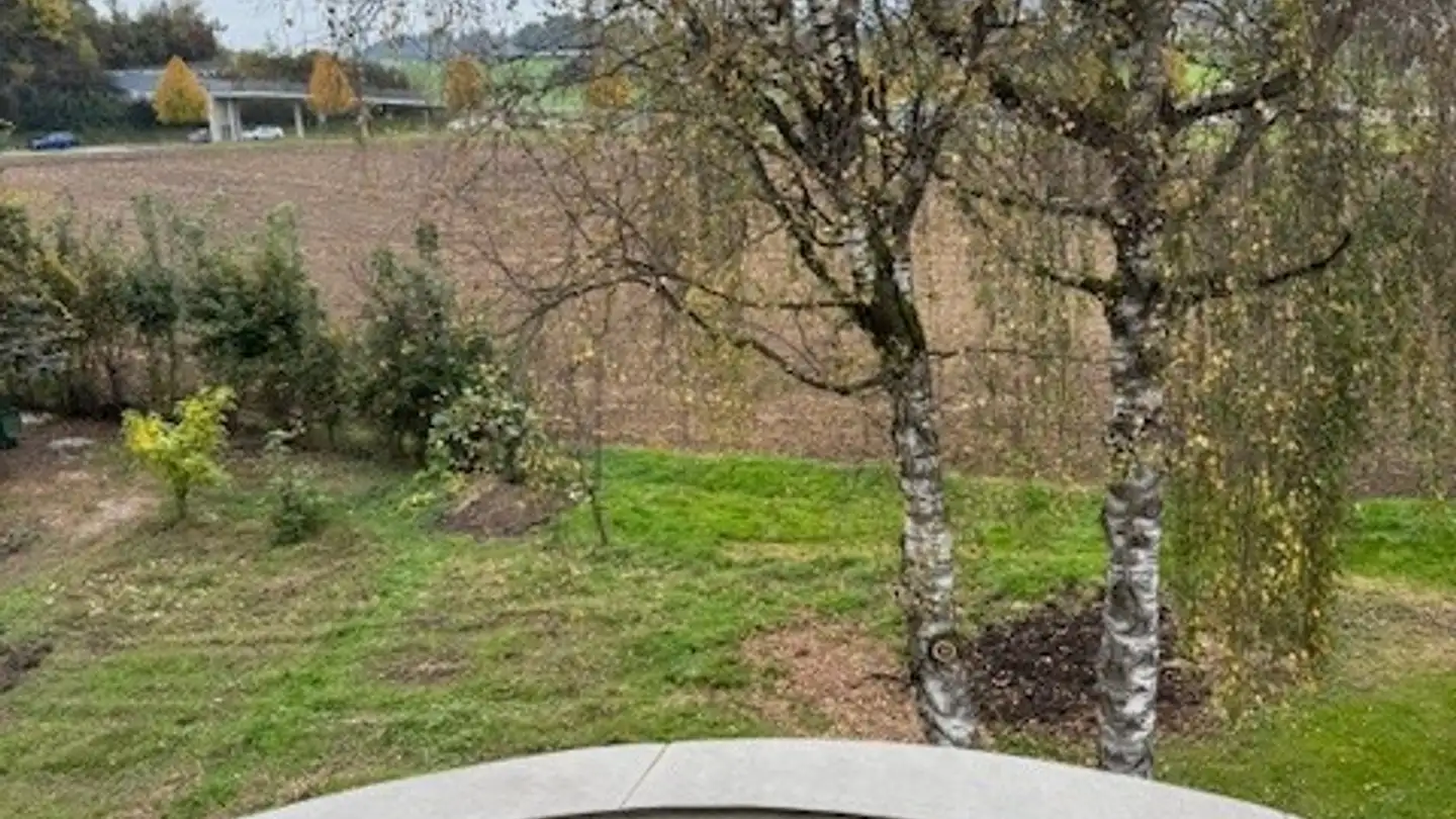 Appartamento in vendita - Hinterbergstrasse 57, 6312 Steinhausen - Photo 4