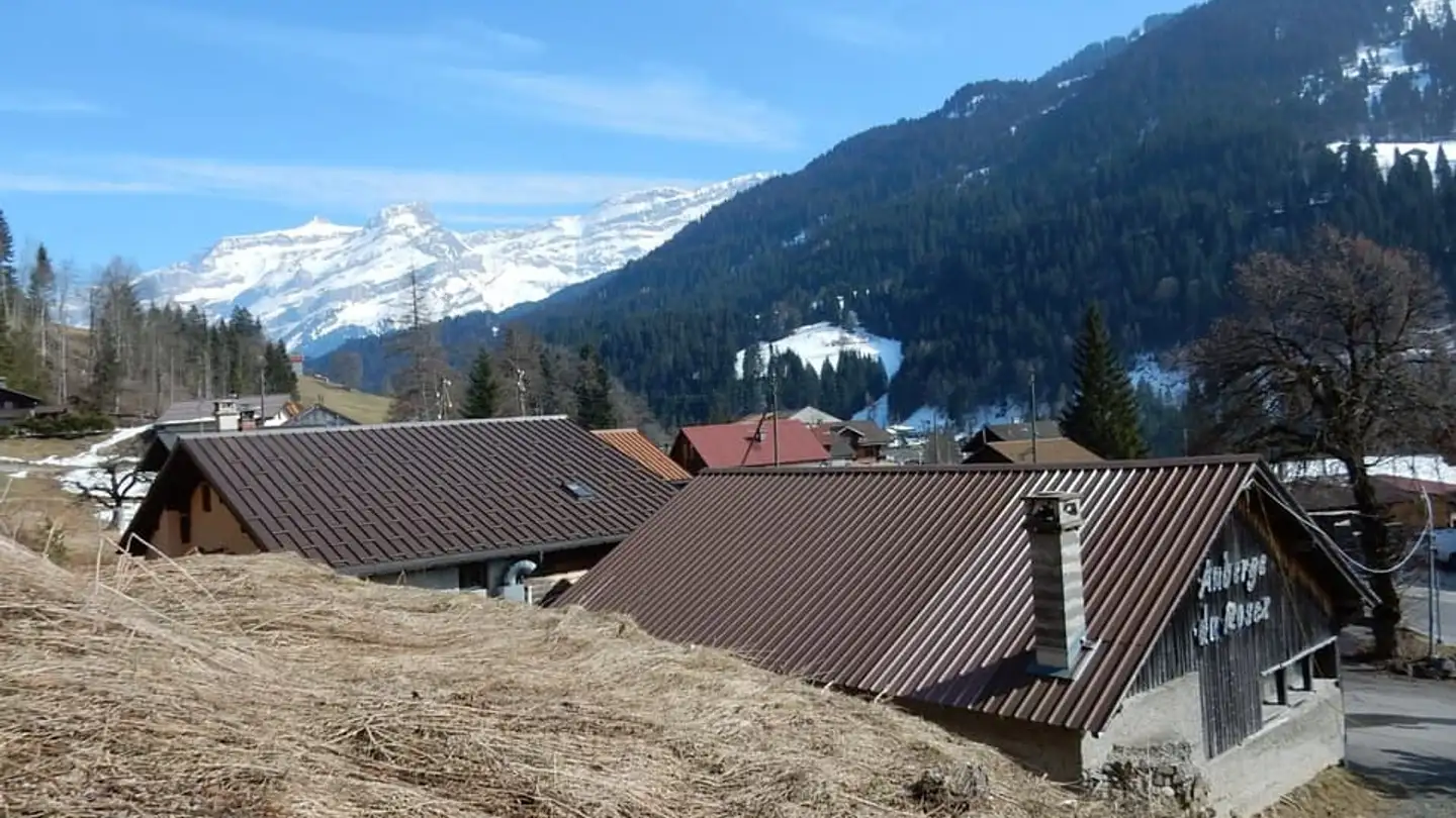 Commerciale in vendita - 1864 Vers-l'Eglise - Photo 3