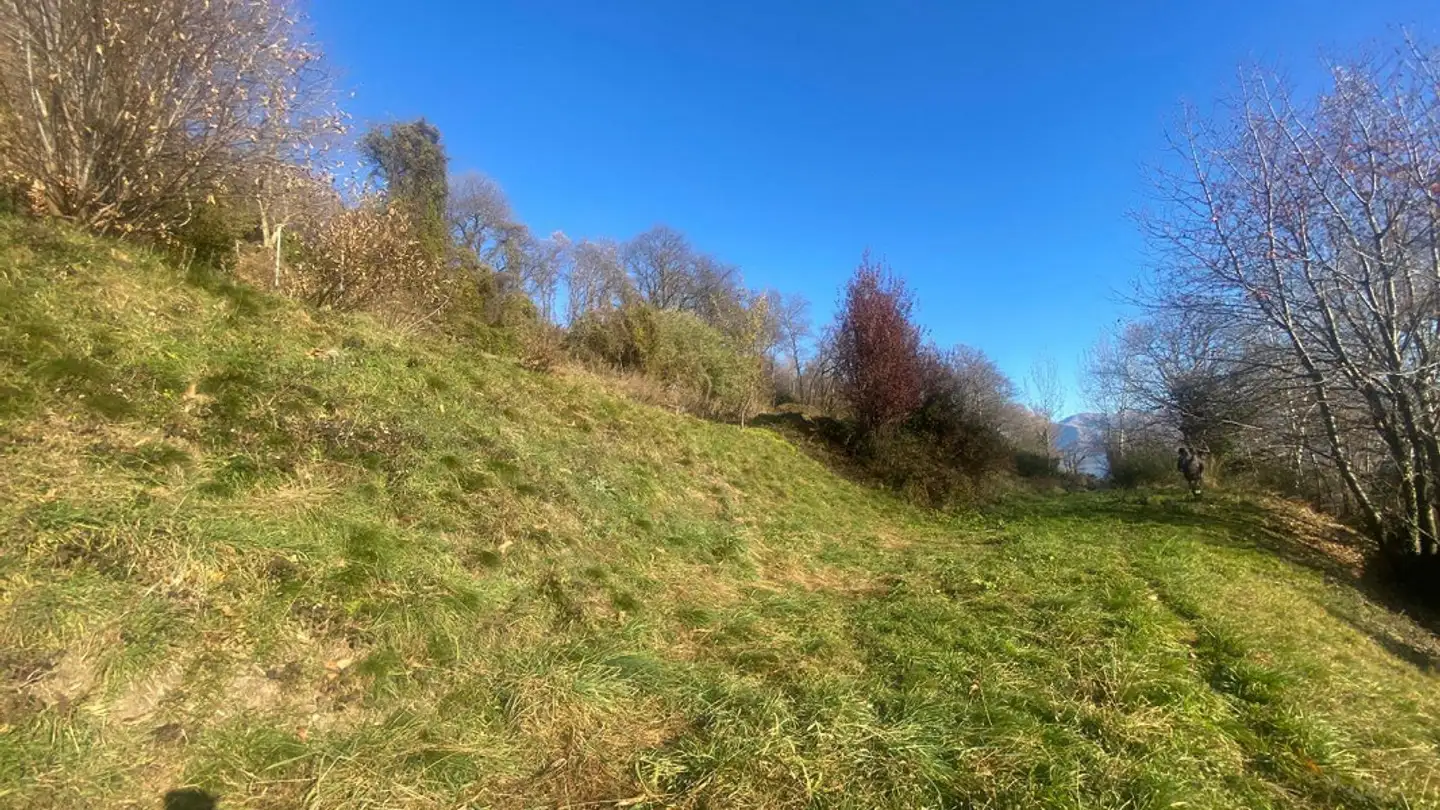 Terrain constructible à vendre - 6936 Cademario - Photo 3
