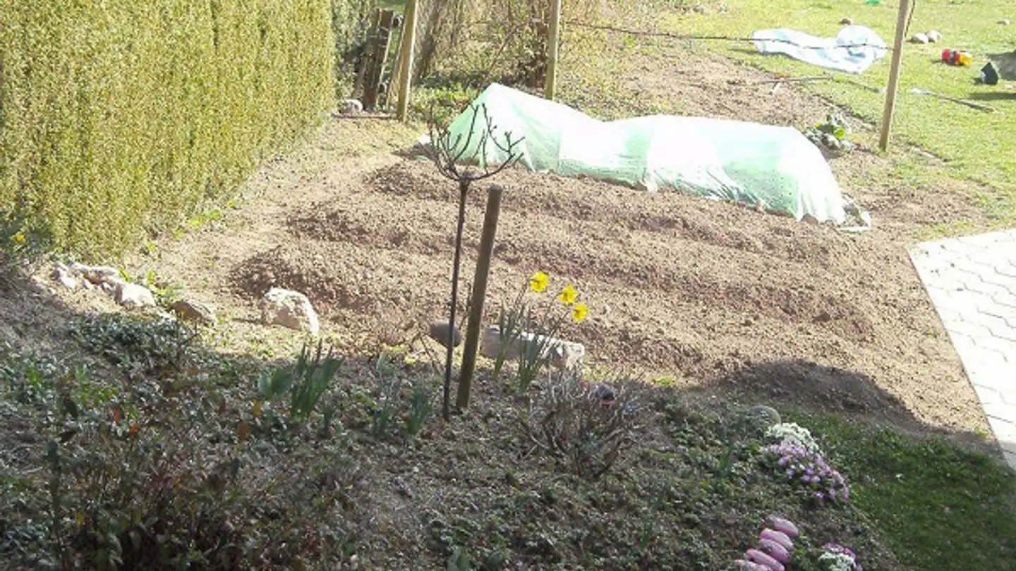 Appartamento in affitto - Sonnhalde 53, 6024 Hildisrieden - Foto 4