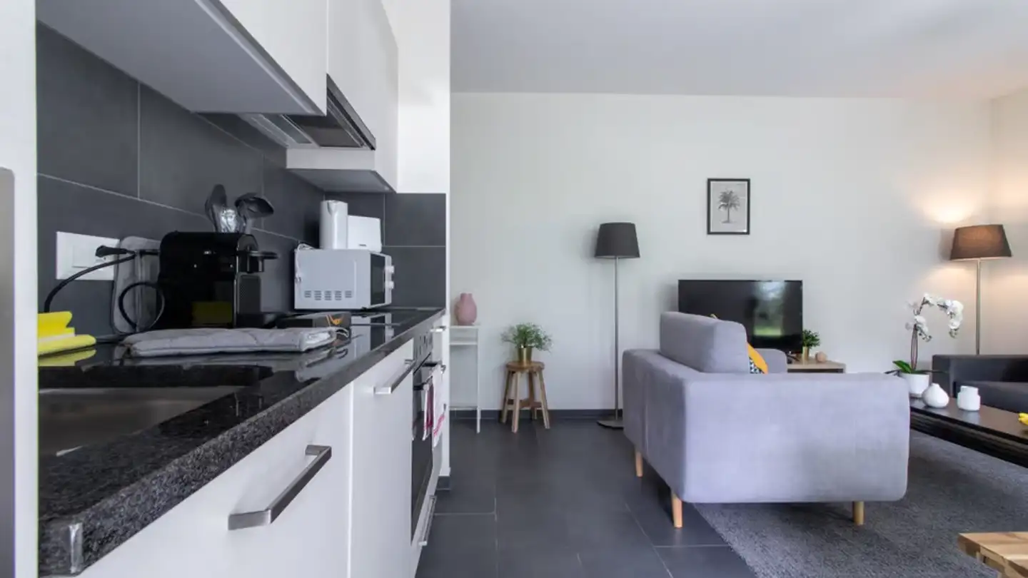 Apartment for rent - Route Du Tonkin 3a, 1897 Bouveret - Photo 3