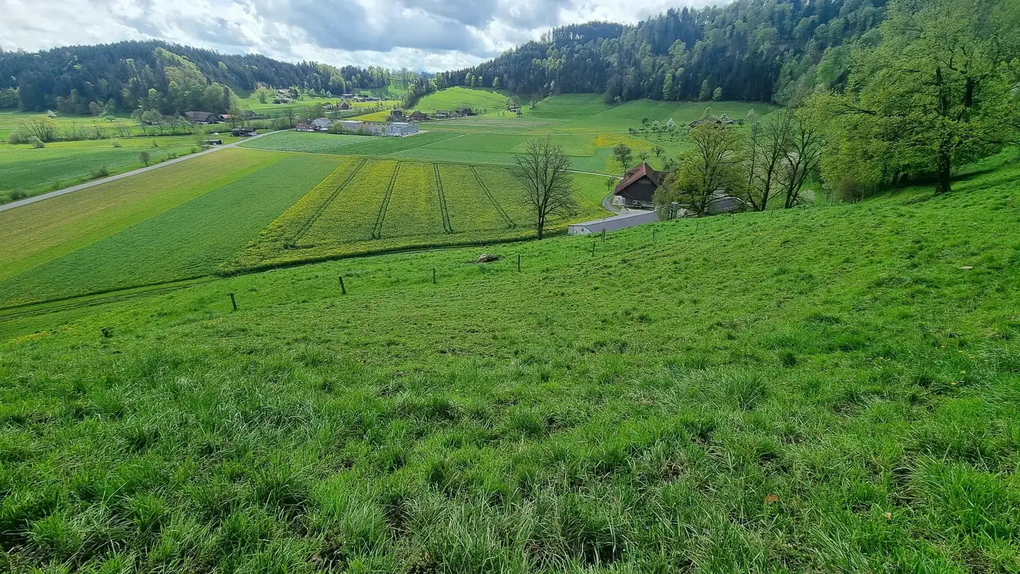 Single house for sale - Hübeli, 6143 Ohmstal