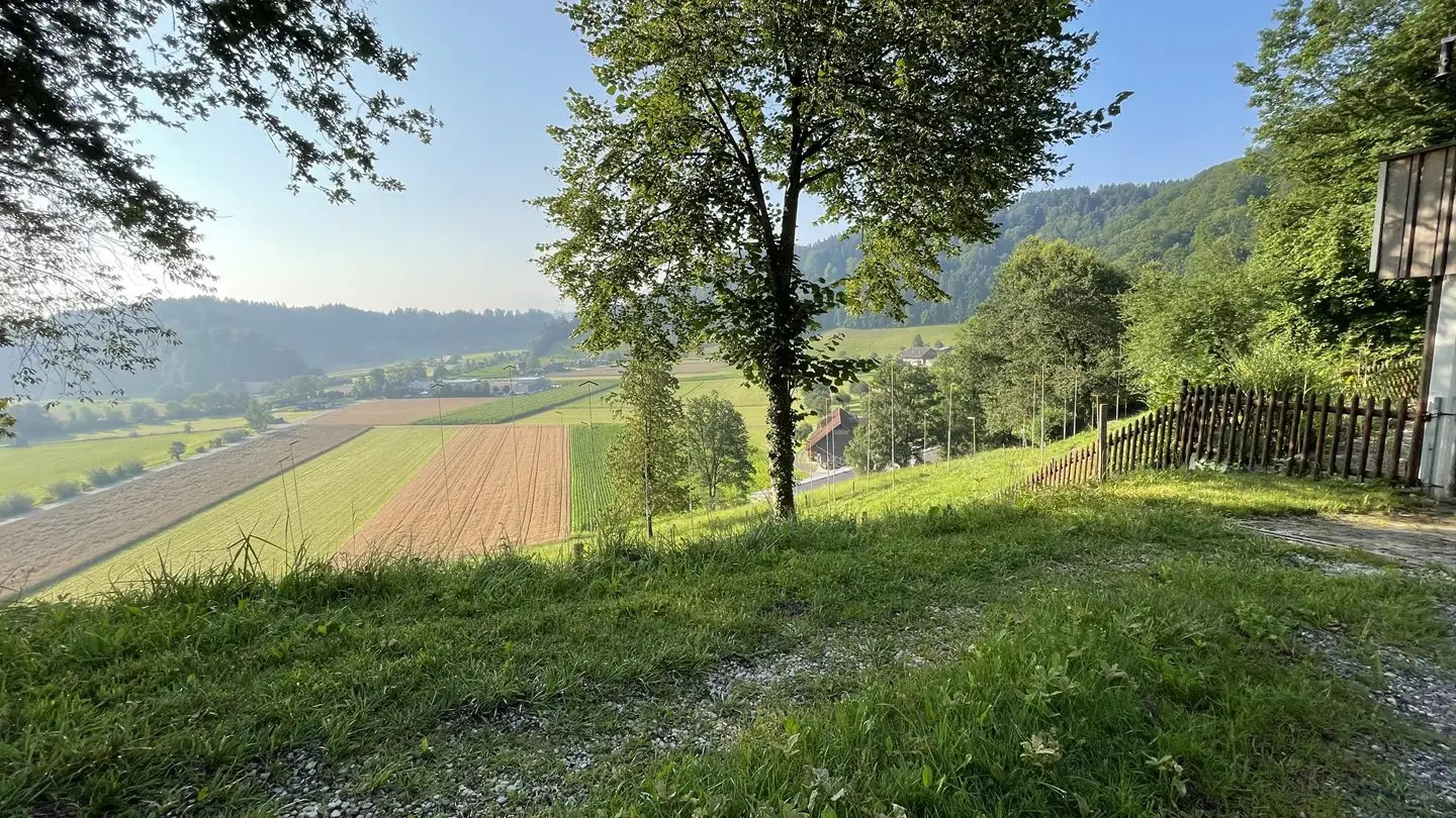 Single house for sale - Hübeli, 6143 Ohmstal - Photo 2