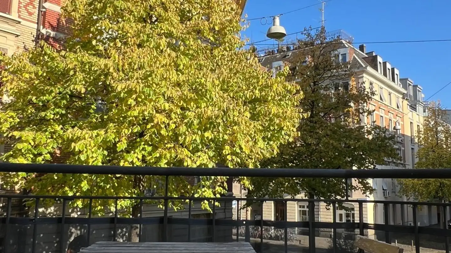 Apartment for rent - Schöntalstrasse, 8004 Zürich - Photo 3