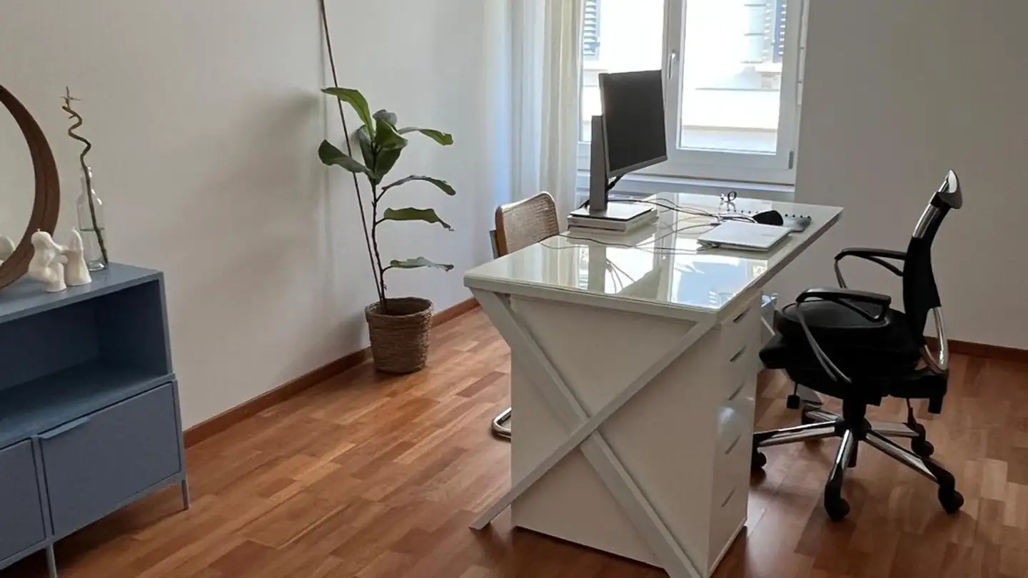 Apartment for rent - Schöntalstrasse, 8004 Zürich - Photo 4