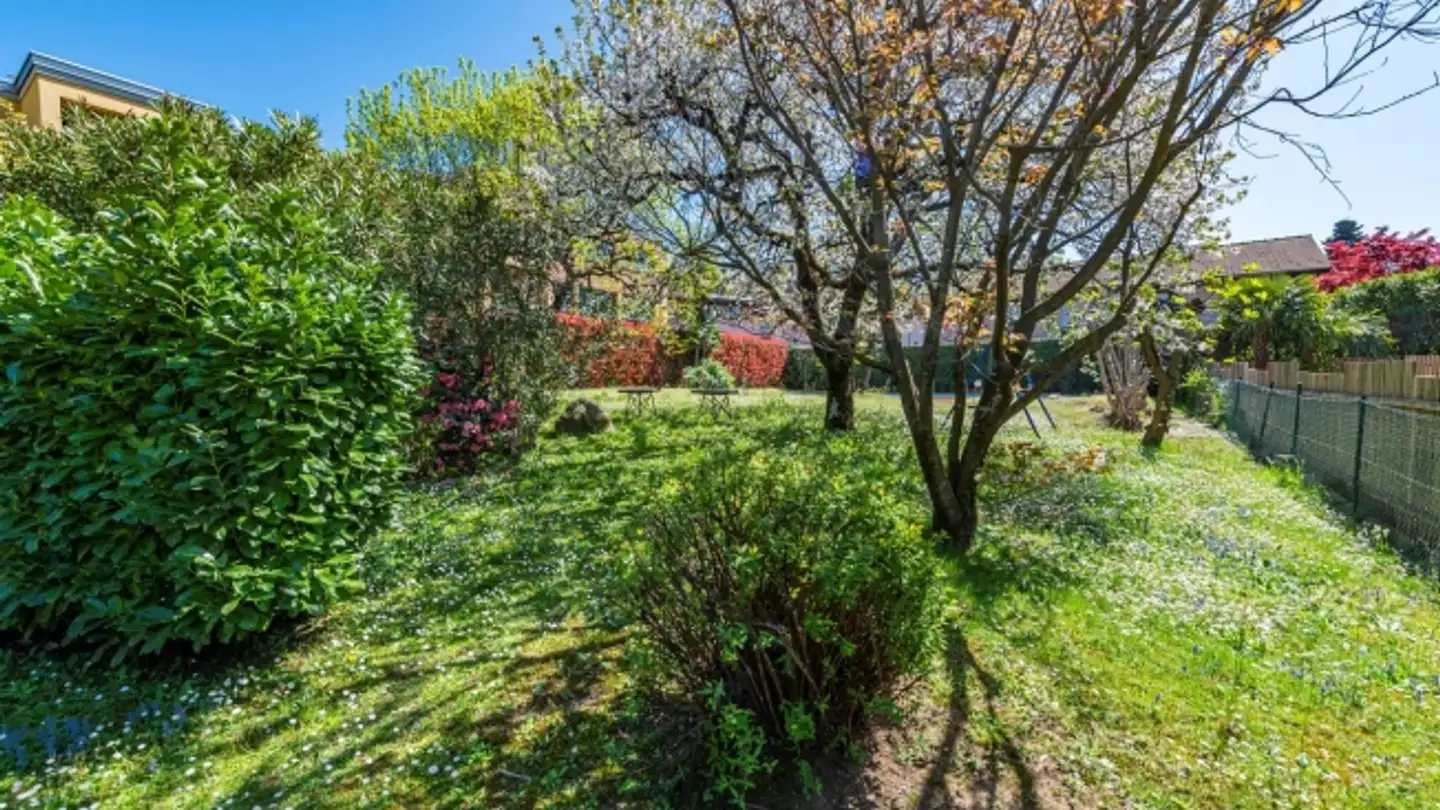 Property for sale - Via Cadempina, 6814 Cadempino - Photo 2