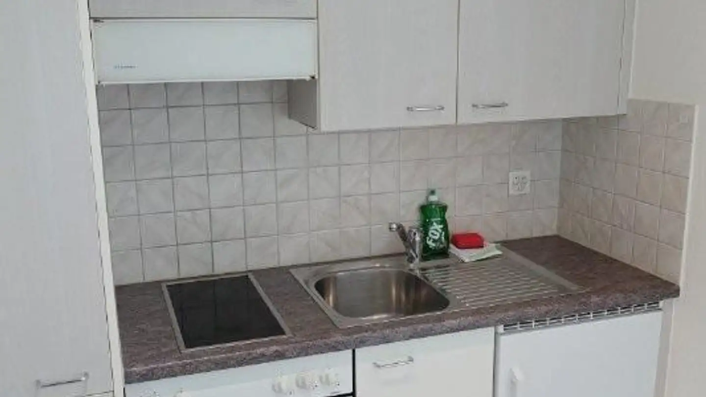 Appartement à louer - Moosstrasse 15, 6003 Luzern - Photo 2