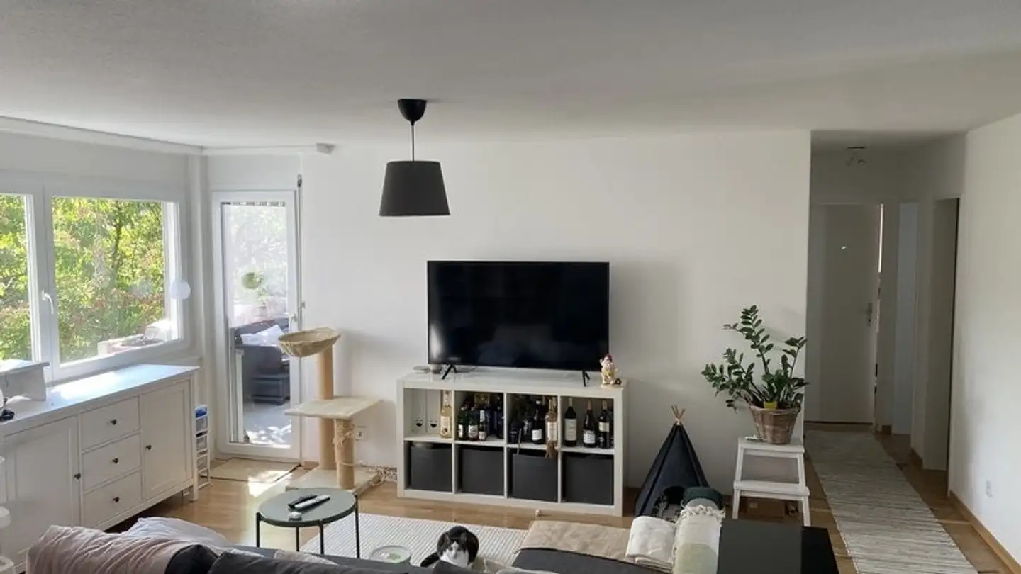 Single room for rent - Tösstalstrasse, 8405 Winterthur - Photo 2