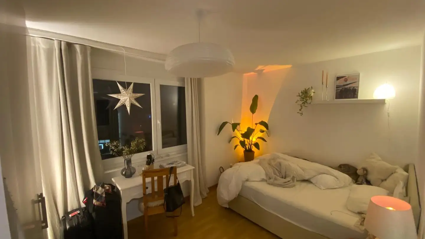 Single room for rent - Tösstalstrasse, 8405 Winterthur - Photo 3