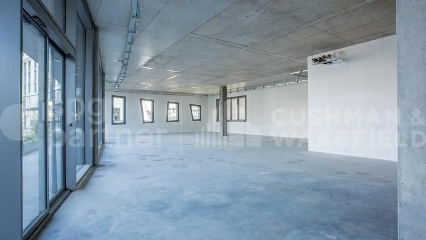 Spazio di archiviazione in affitto - Rue Peillonnex 36, 1225 Chêne-Bourg - Foto 4