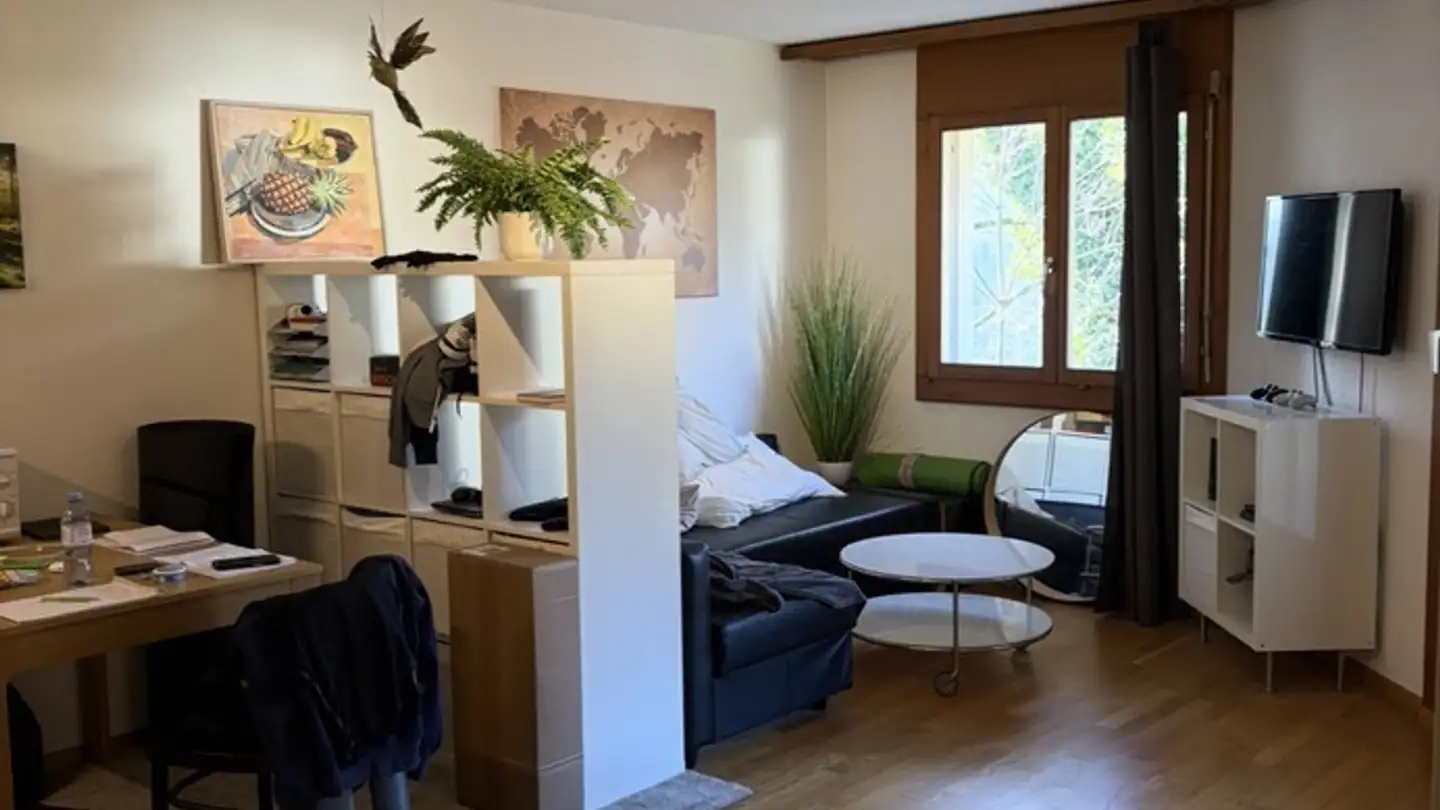 Apartment for rent - Südstrasse 1, 8800 Thalwil