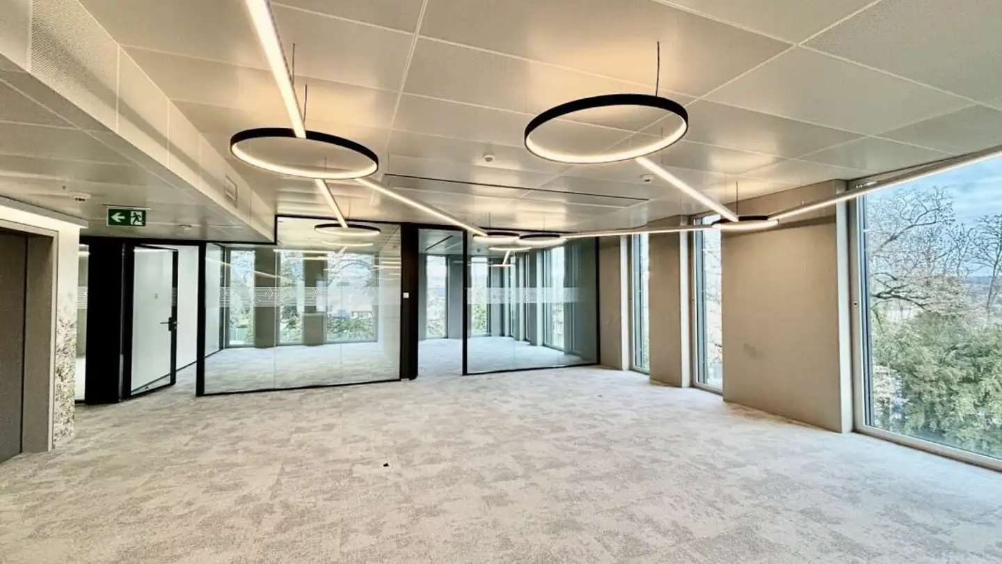 Office space for rent - Route de Lully 5, 1131 Tolochenaz