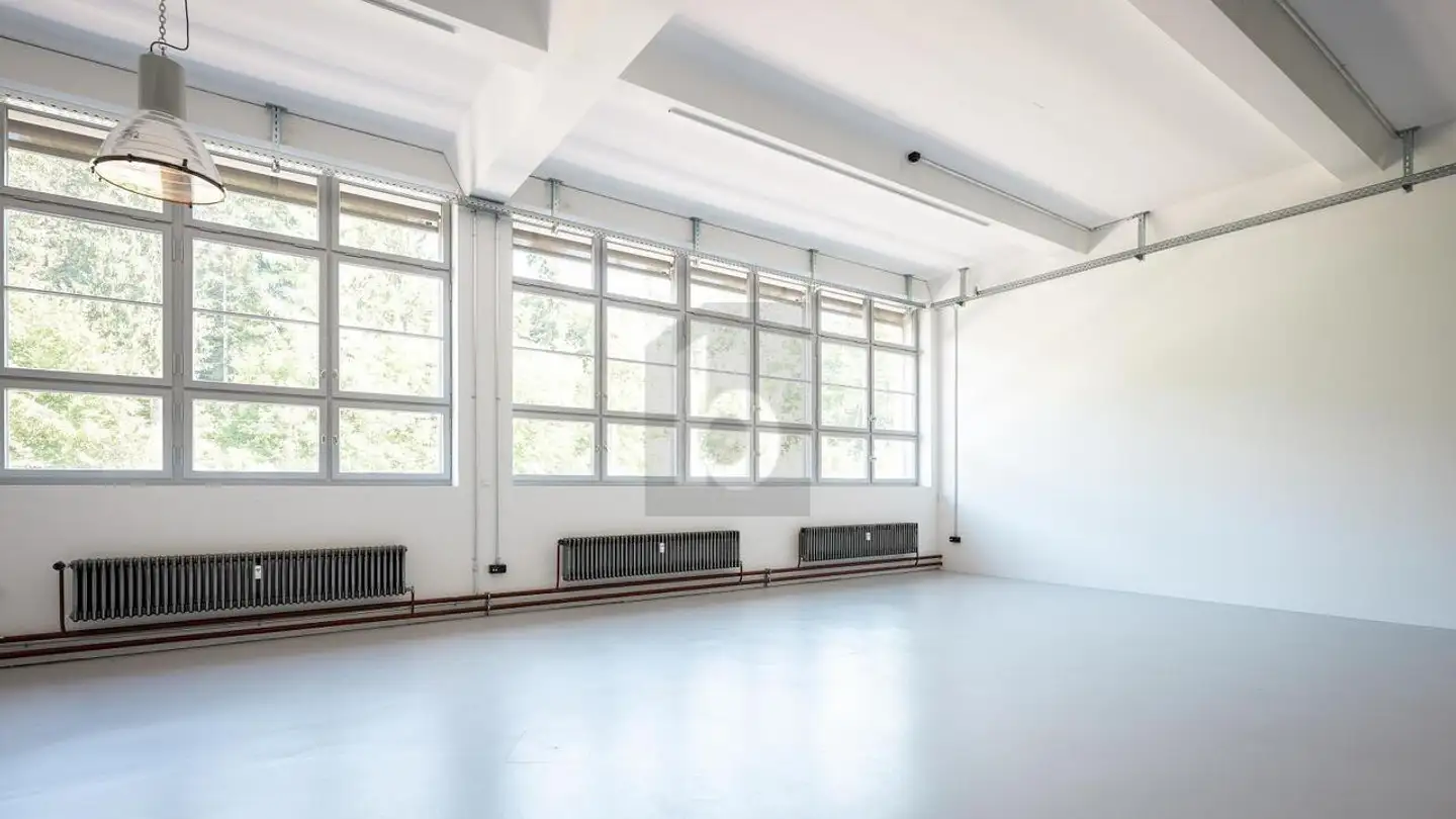 Office space for rent - Kemptthal, 8310 Kemptthal