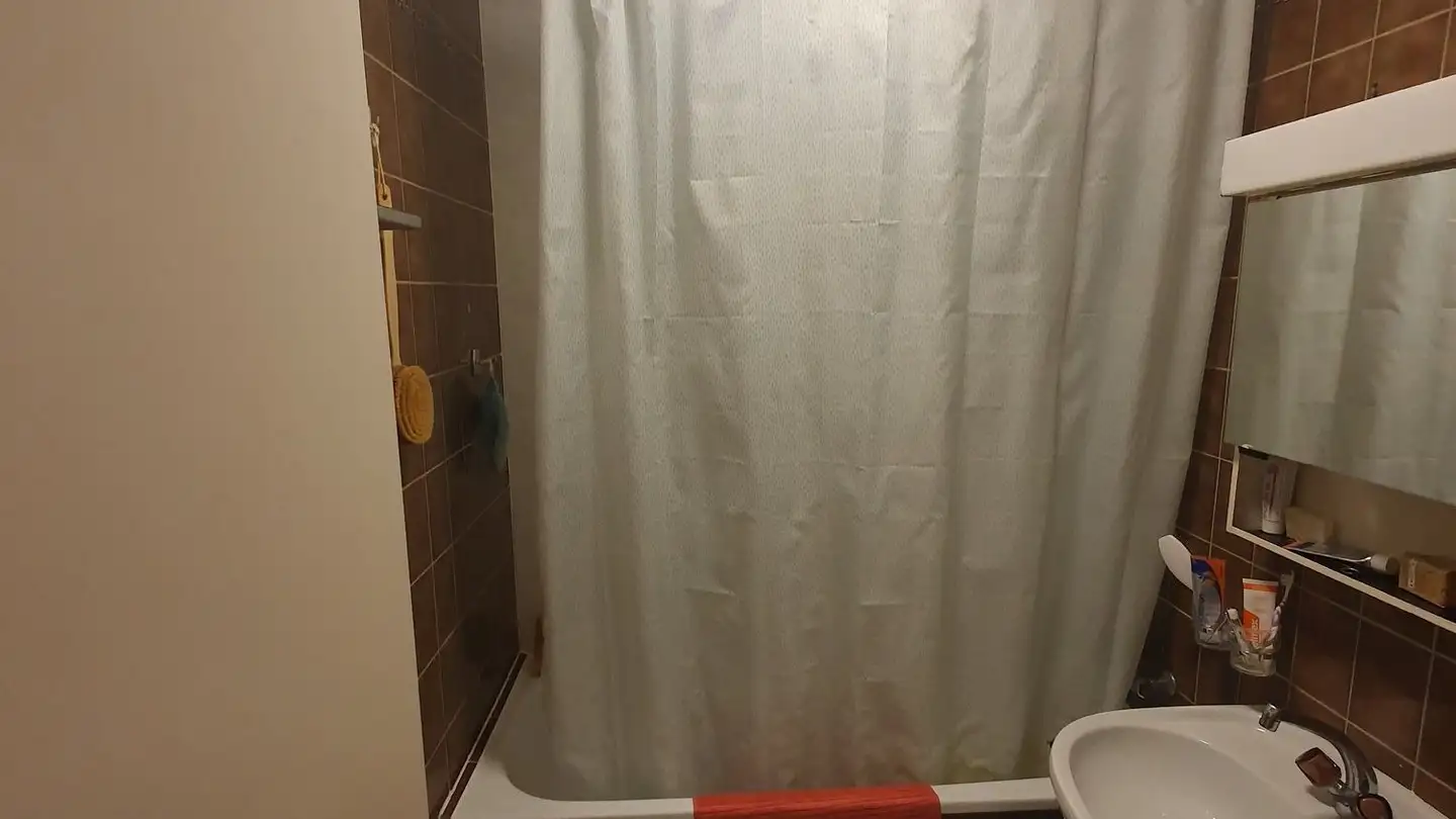 Apartment for rent - Avenue Gustave Coindet 2, 1800 Vevey - Photo 4