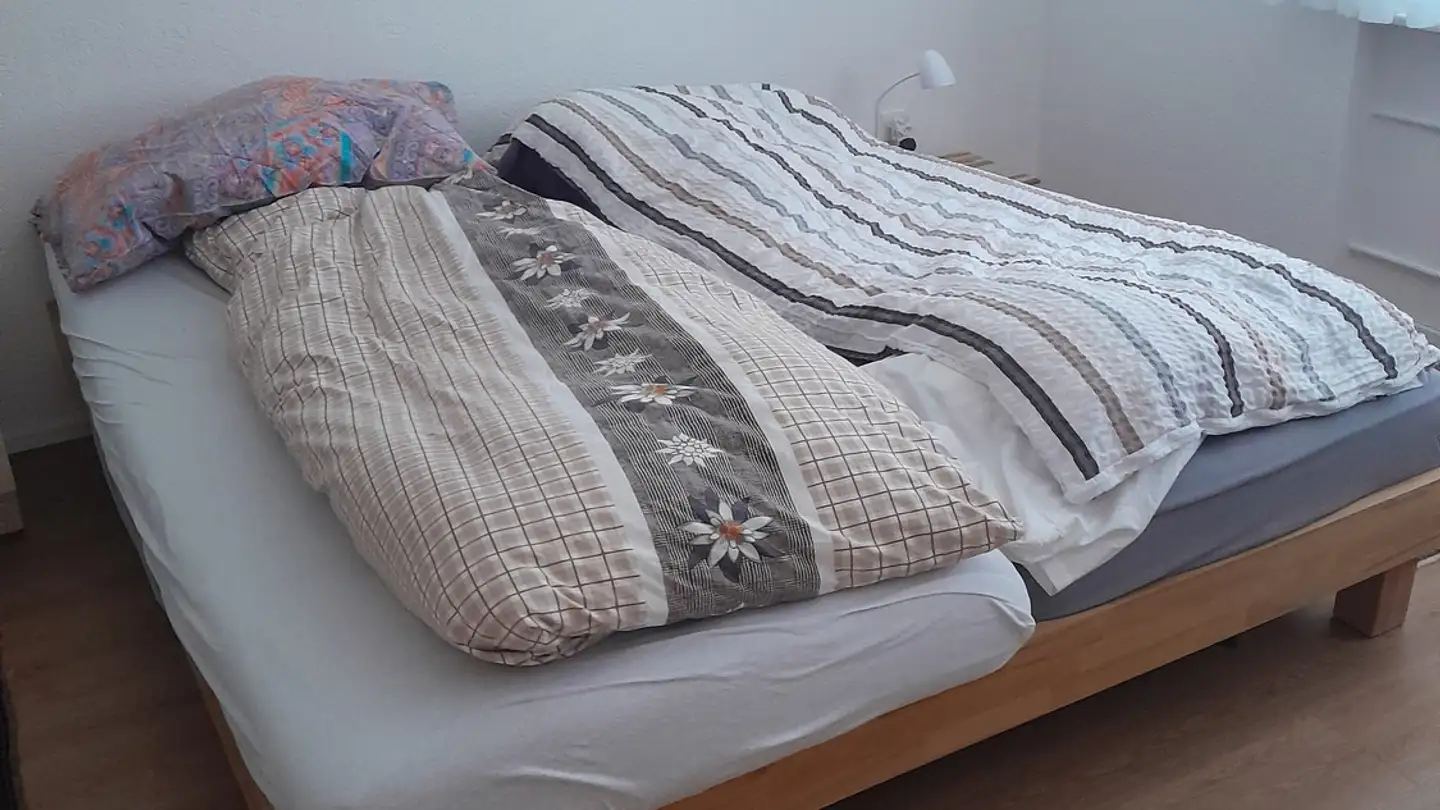 Wohnung mieten - Bitziring 6, 9220 Bischofszell