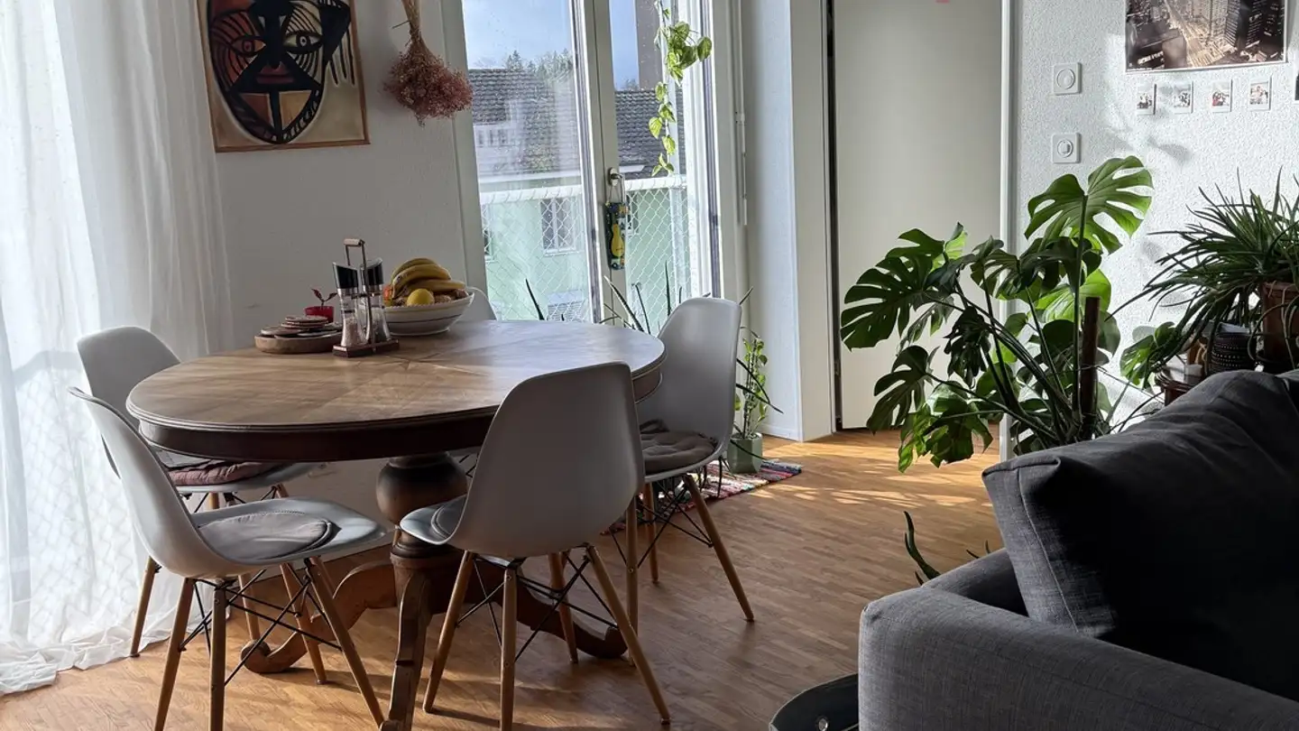 Chambre à louer - 8052 Zürich