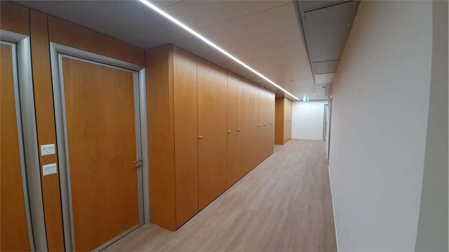 Office space for rent - Via Giuseppe Cattori, 6900 Paradiso
